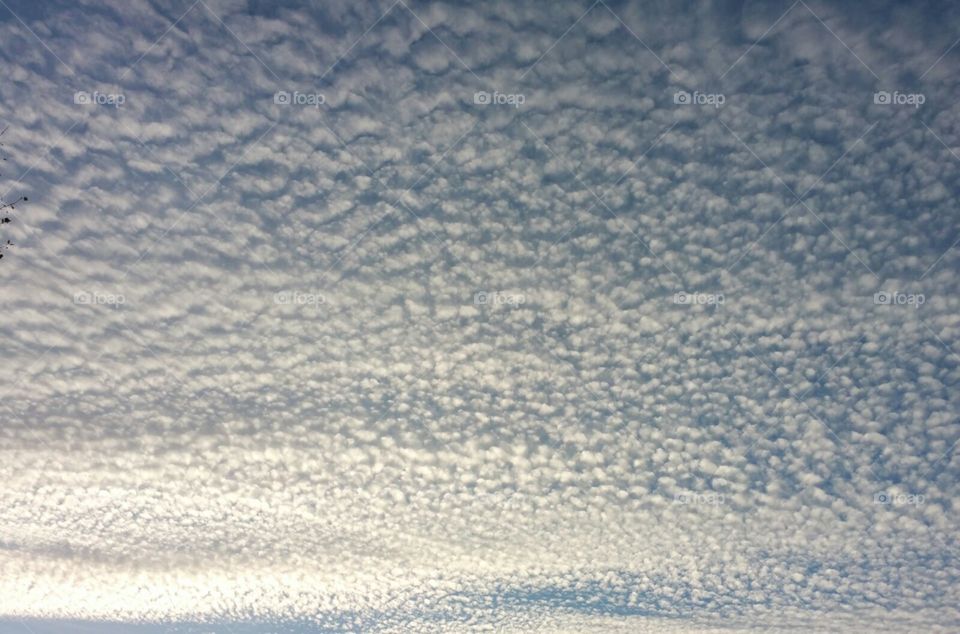Clouds - Fuzzy Blanket of Clouds