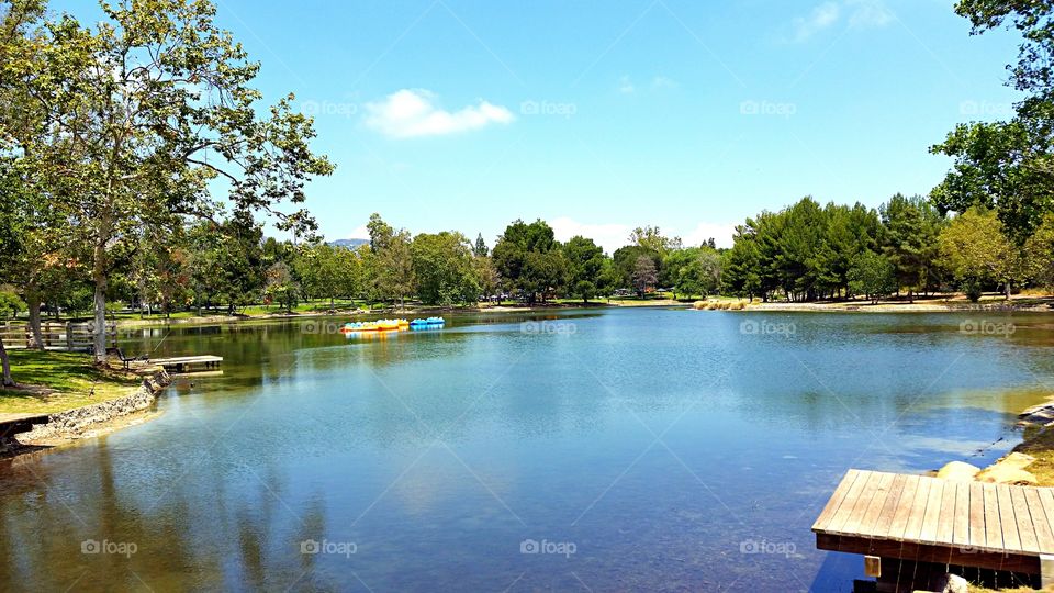 Lake with Paddle boats. Blue and yellow paddle boats sitting on an empty lake.