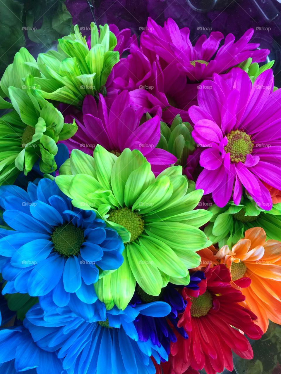 Bouquet of colorful flowers