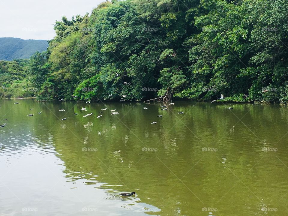 Um dia gostoso no Parque Botânico - tudo em família e com muito verde. Assim vale a pena ser feliz!