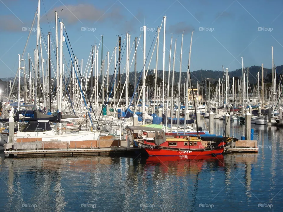 Boat Docks