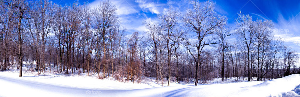 Winter panoramic