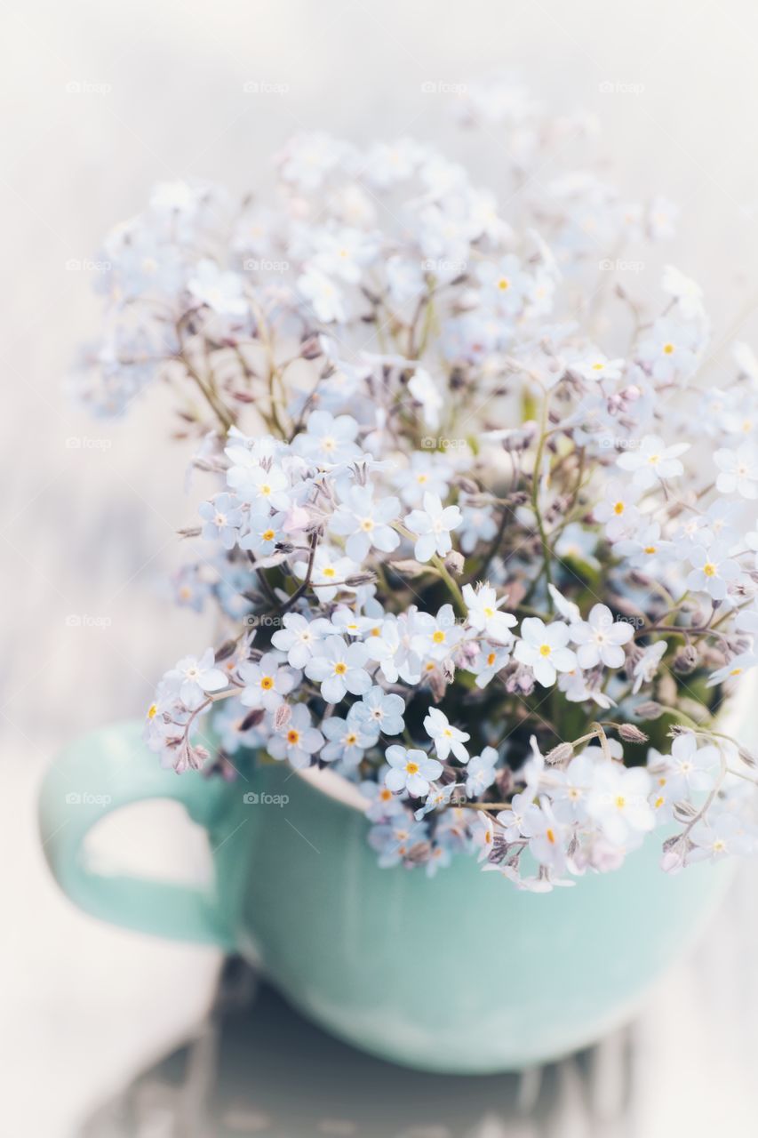 Forget me not in the cup 