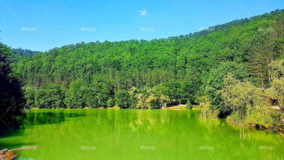 Vida lake, green lake with funnel, Romania