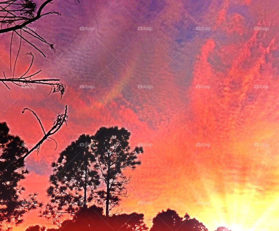 Vivid multicolored sunset