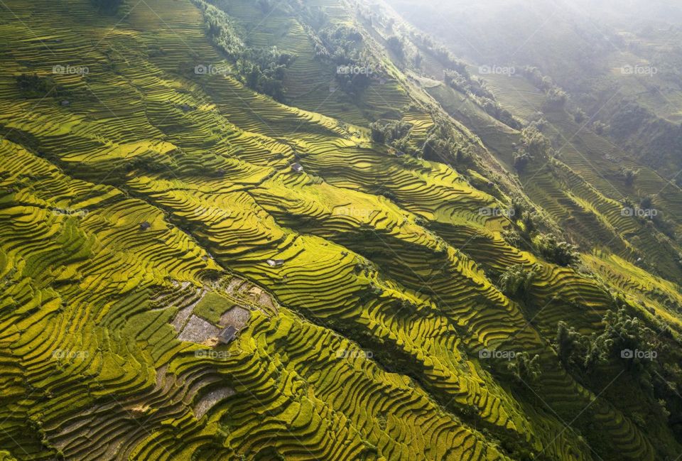 Sunshine in Ngai Thau rices terraces valley. 
Ngai Thau is the beautiful cummune in Bat Xat district , Lao Cai province,  Nothwest Vietnam