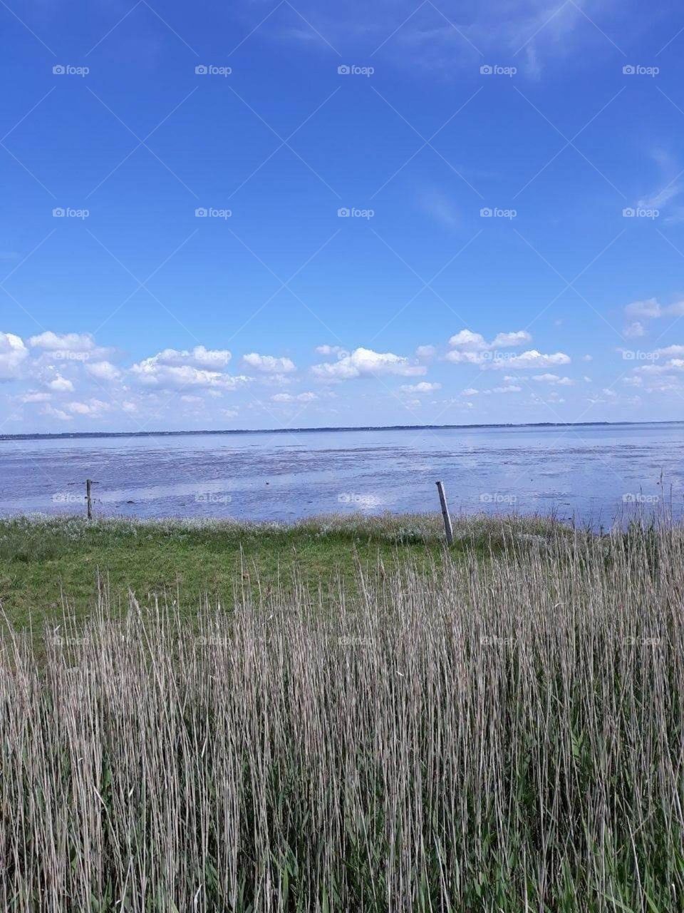 National park Wadden Sea - Skallingen