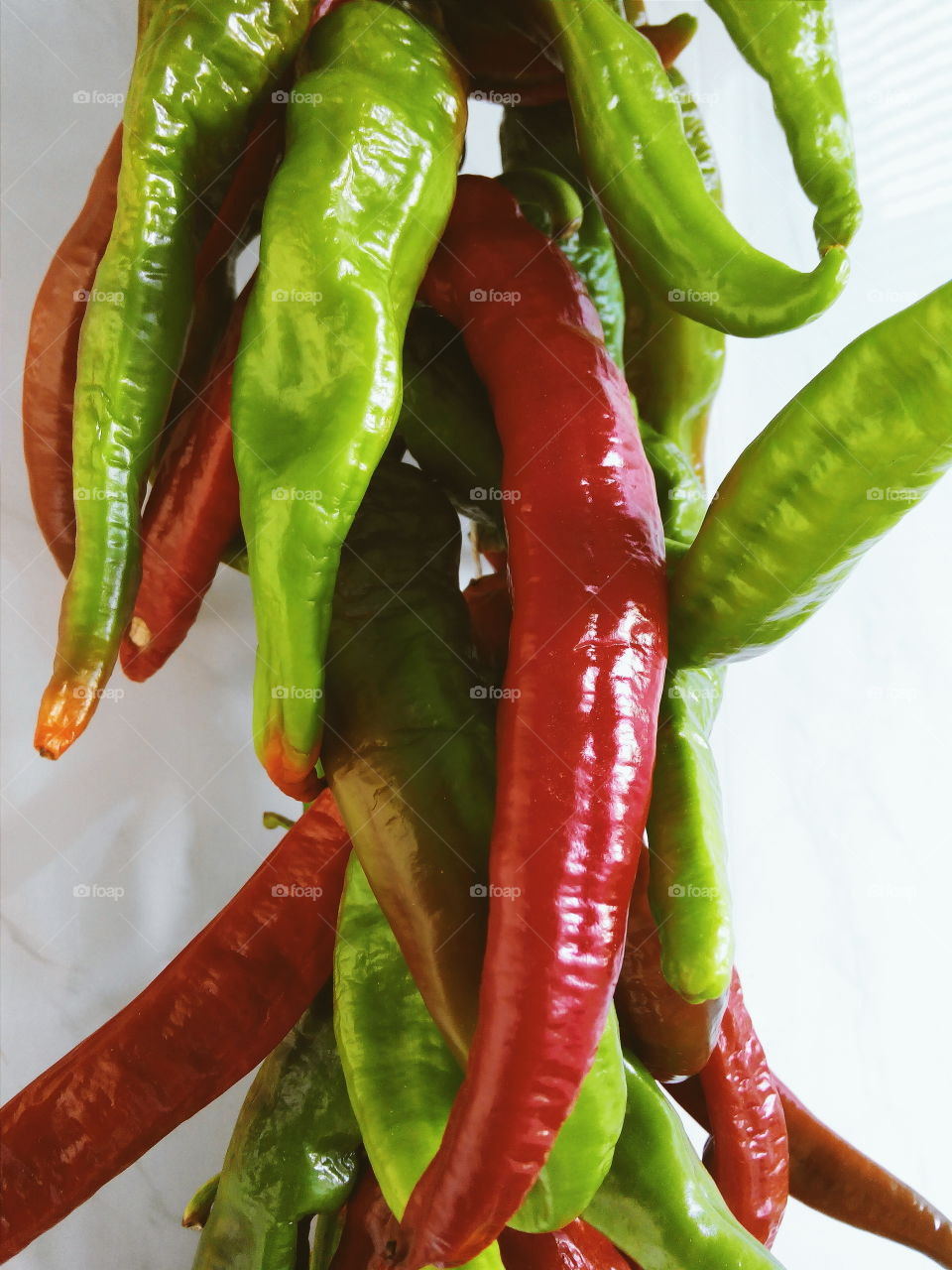 red and green hot peppers. red and green hot peppers