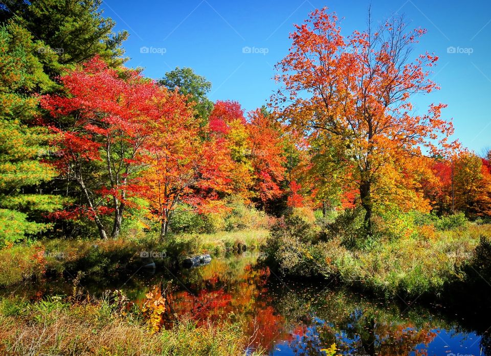 Fall colors foliage autumn pond reflection 