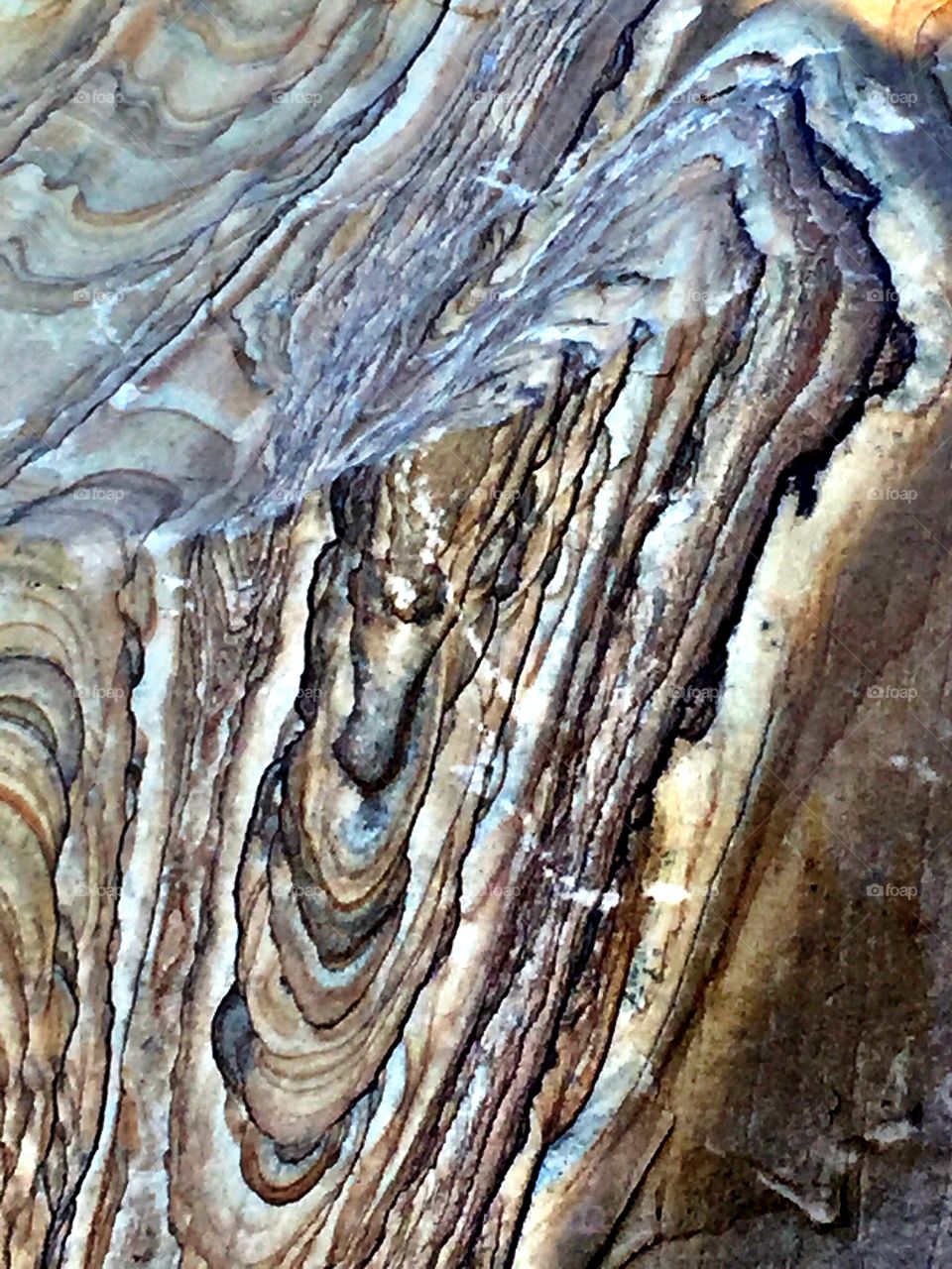 Boulder closeup