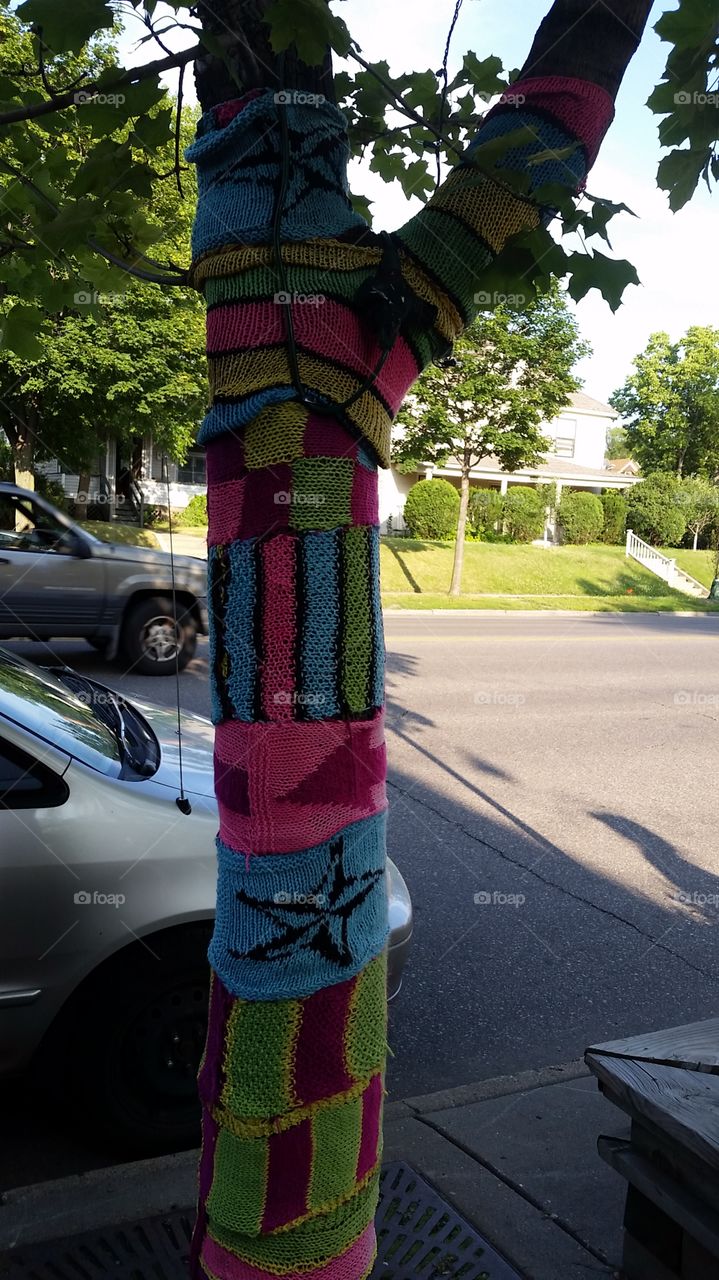 tree scarf in Minneapolis. so cold