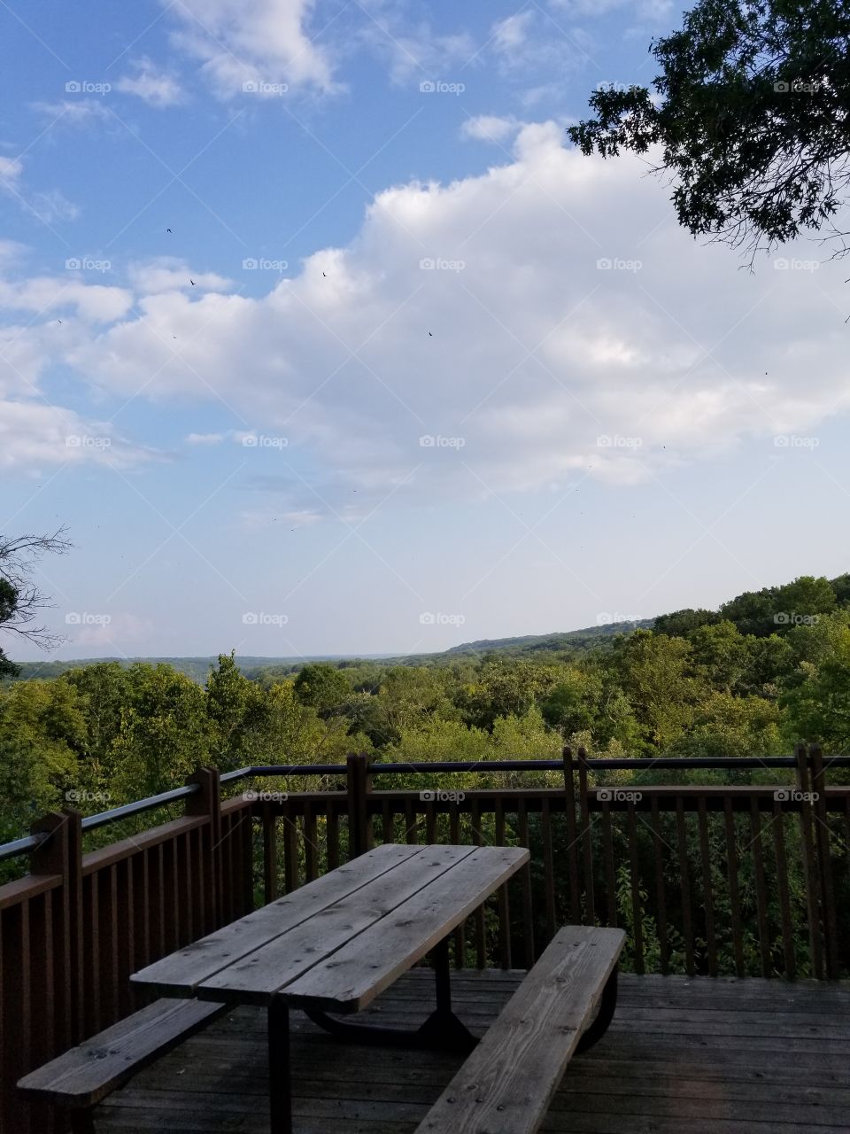 The view is marvelous