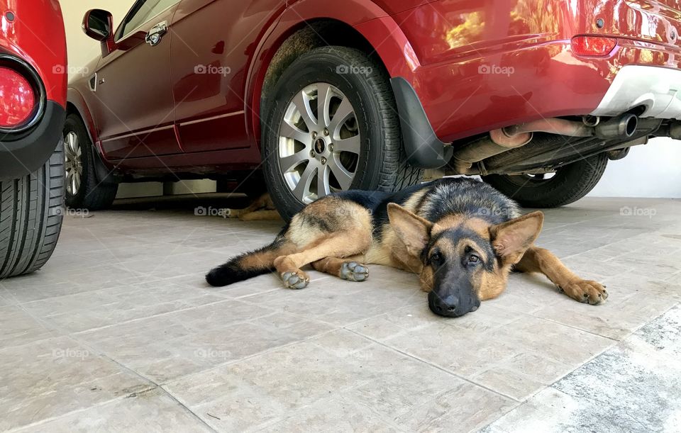 Best corner to rest of the Day 