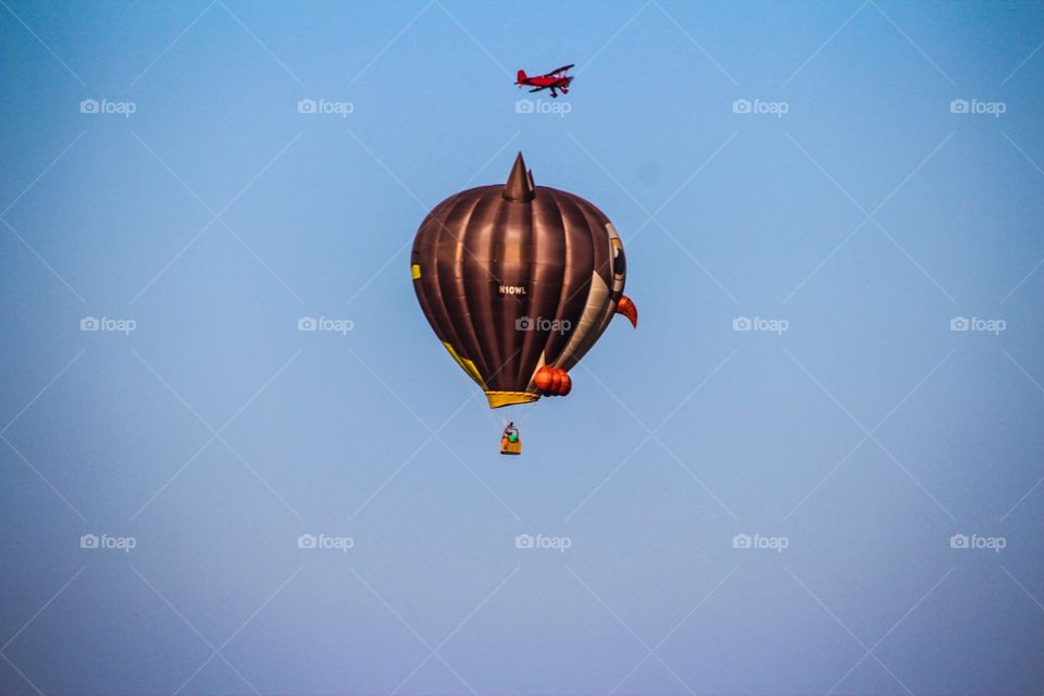 Owl balloon and airplane