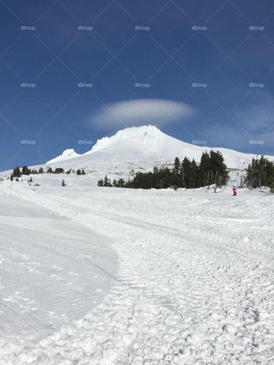 Sunny Snowy Day On Mountain. Beautiful snow day on Mt Hood