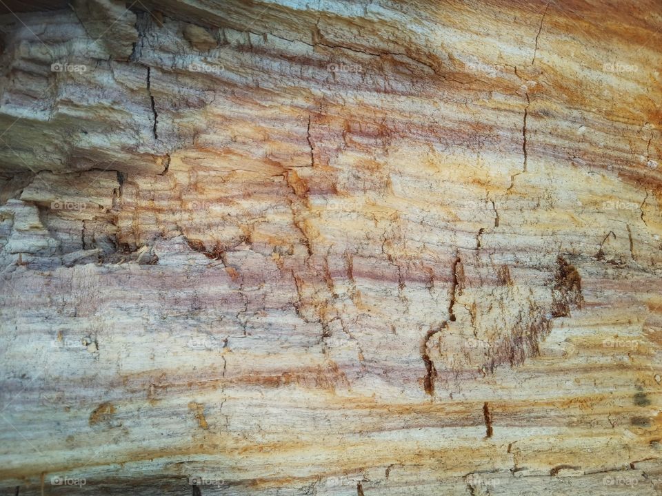 beauty around, just look around!!!