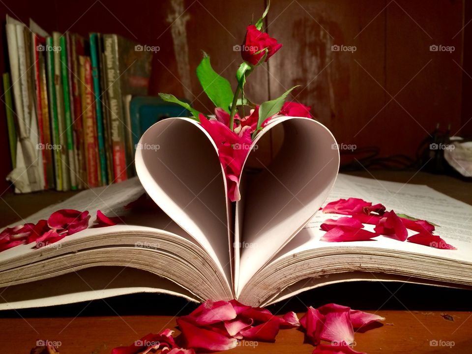 Book love and flower