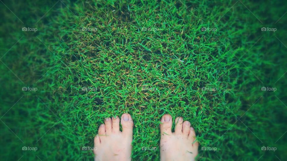 Standing in the yard after a rain