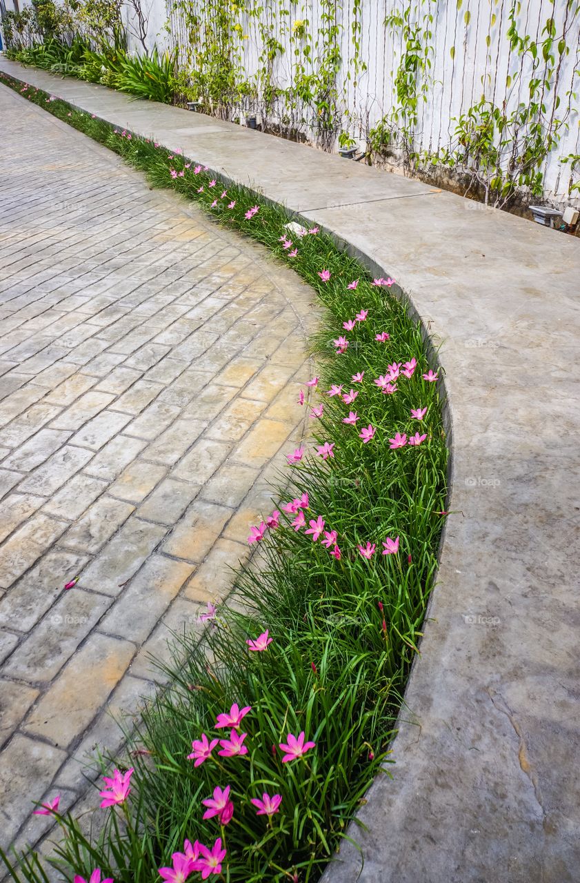 Foot path with flower