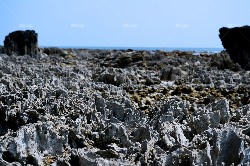 Coral on the beach in Anyer Serang, Banten, Indonesia