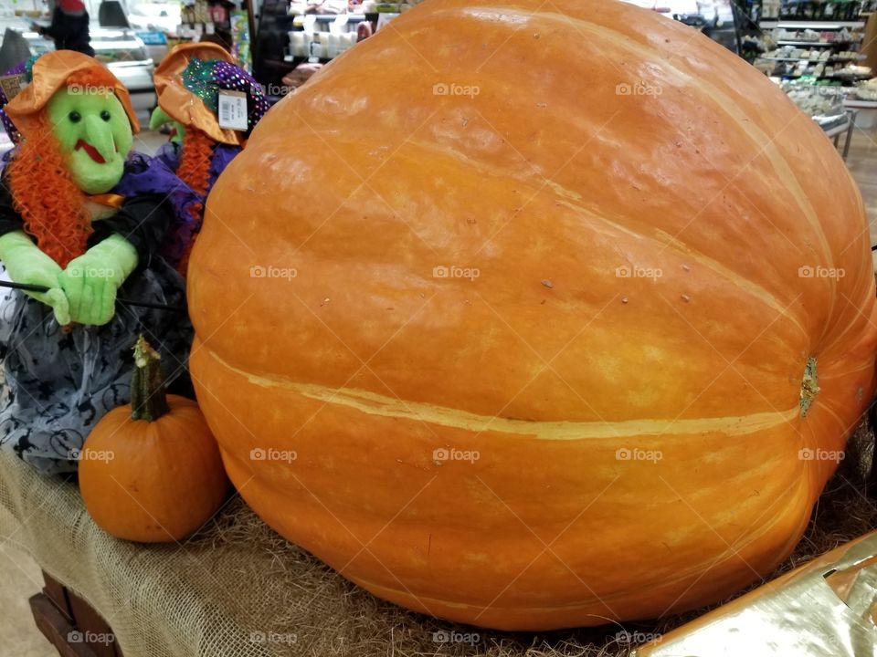 A big Pumpkin  for Halloween