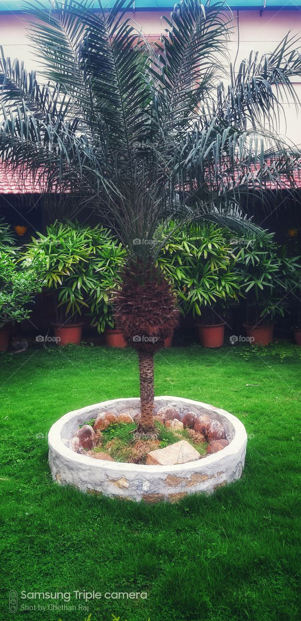 green colour stories