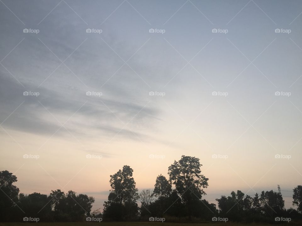 Beautiful Sunlight, Sunset and tree landscape for sky  isolated background. Copy space 