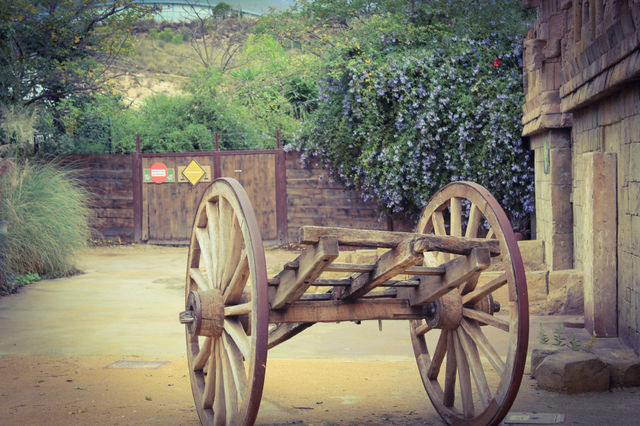 Wheels and flowers
