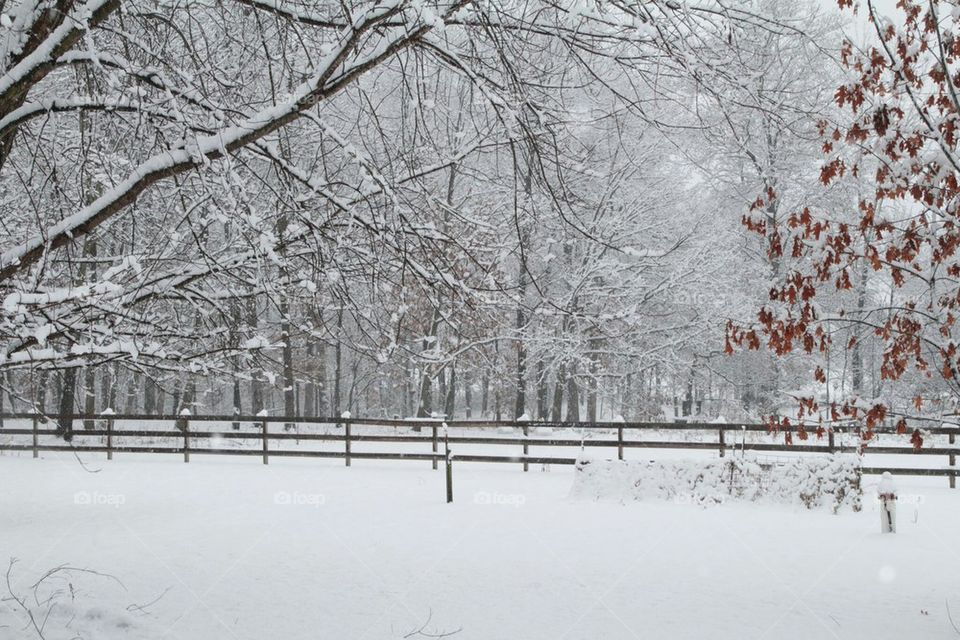 fenceline in winter wonderland