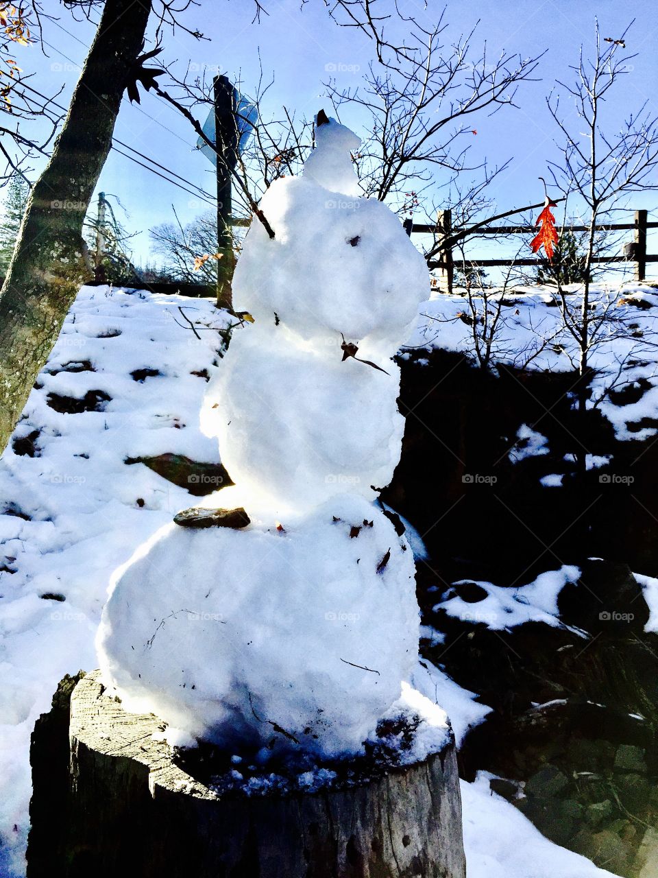 Snowman 