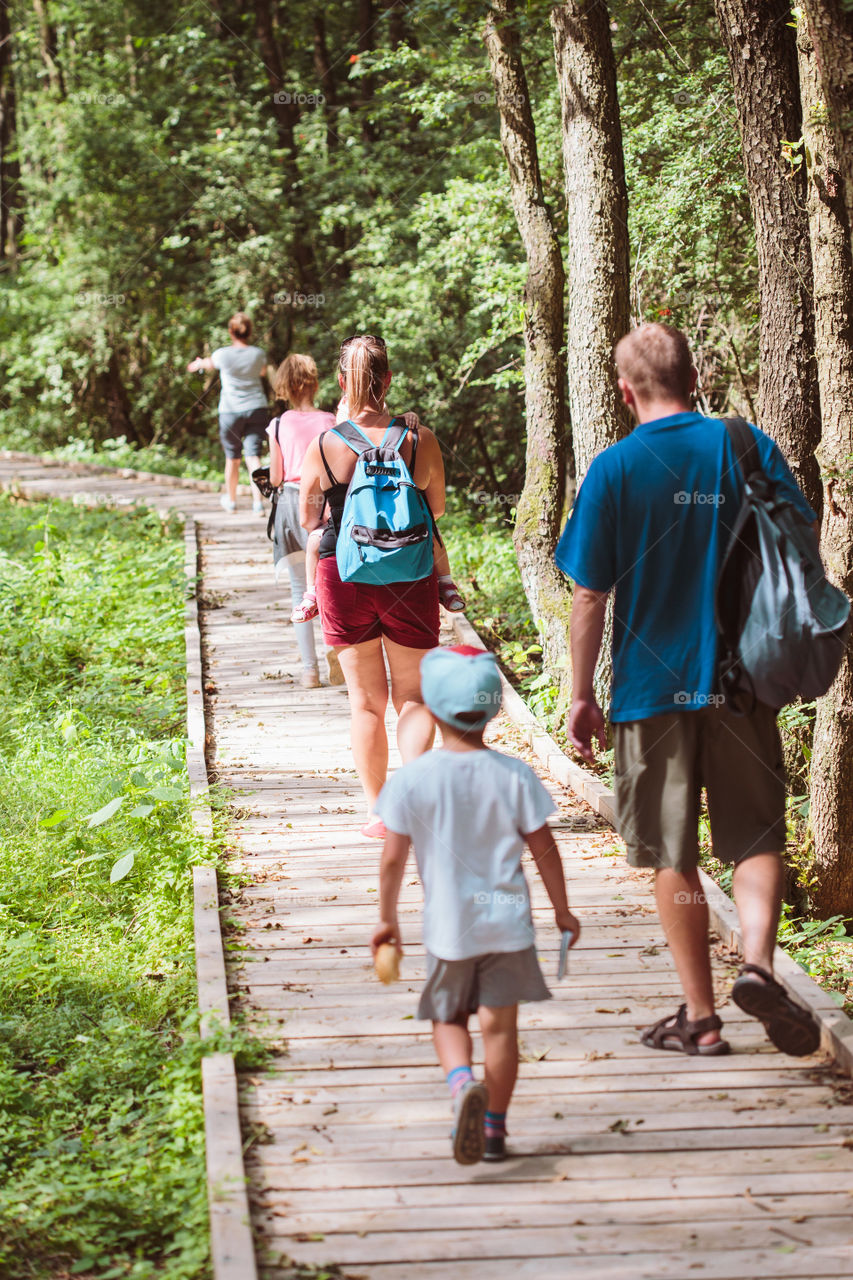 Family going a path in forest. Mother, father, boy and girl spending time together, vacations close to nature