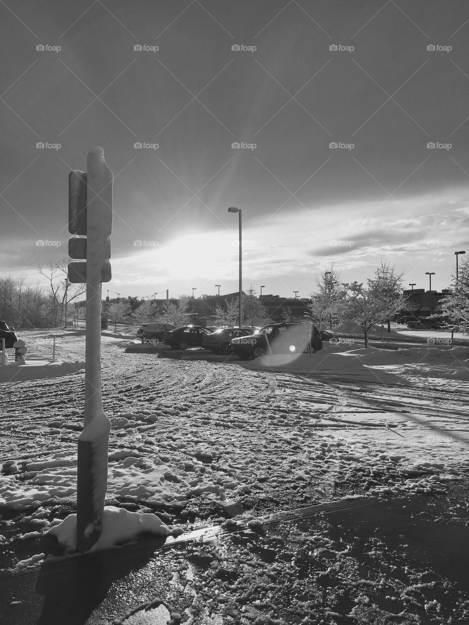 Black and white sunlight 