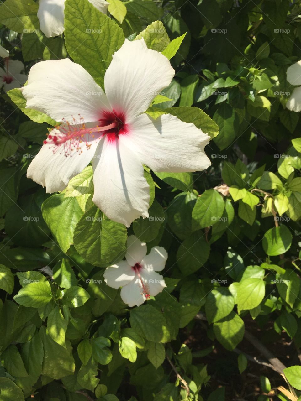 stop and smell the flowers. 