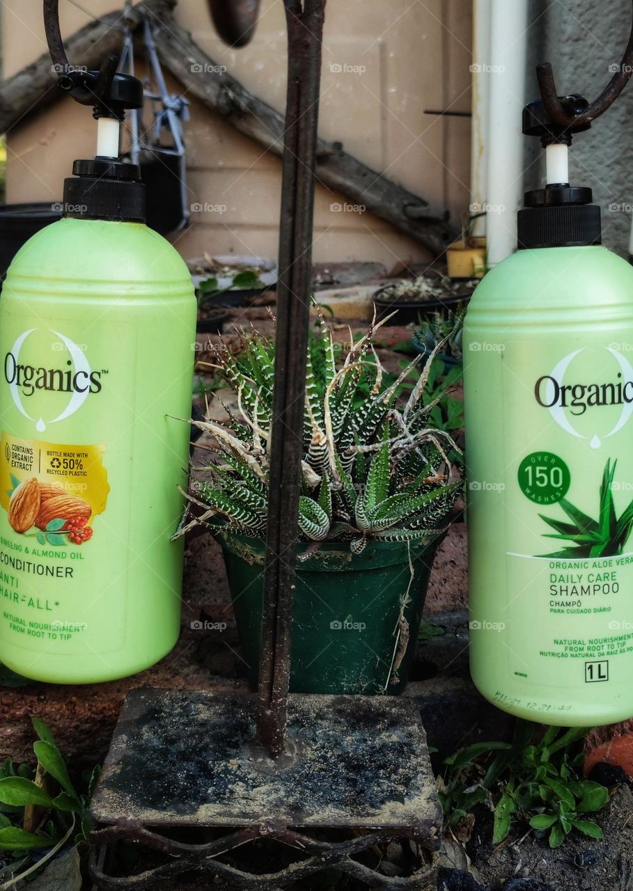 Organics Daily Care 2-in1, Shampoo and Conditioner