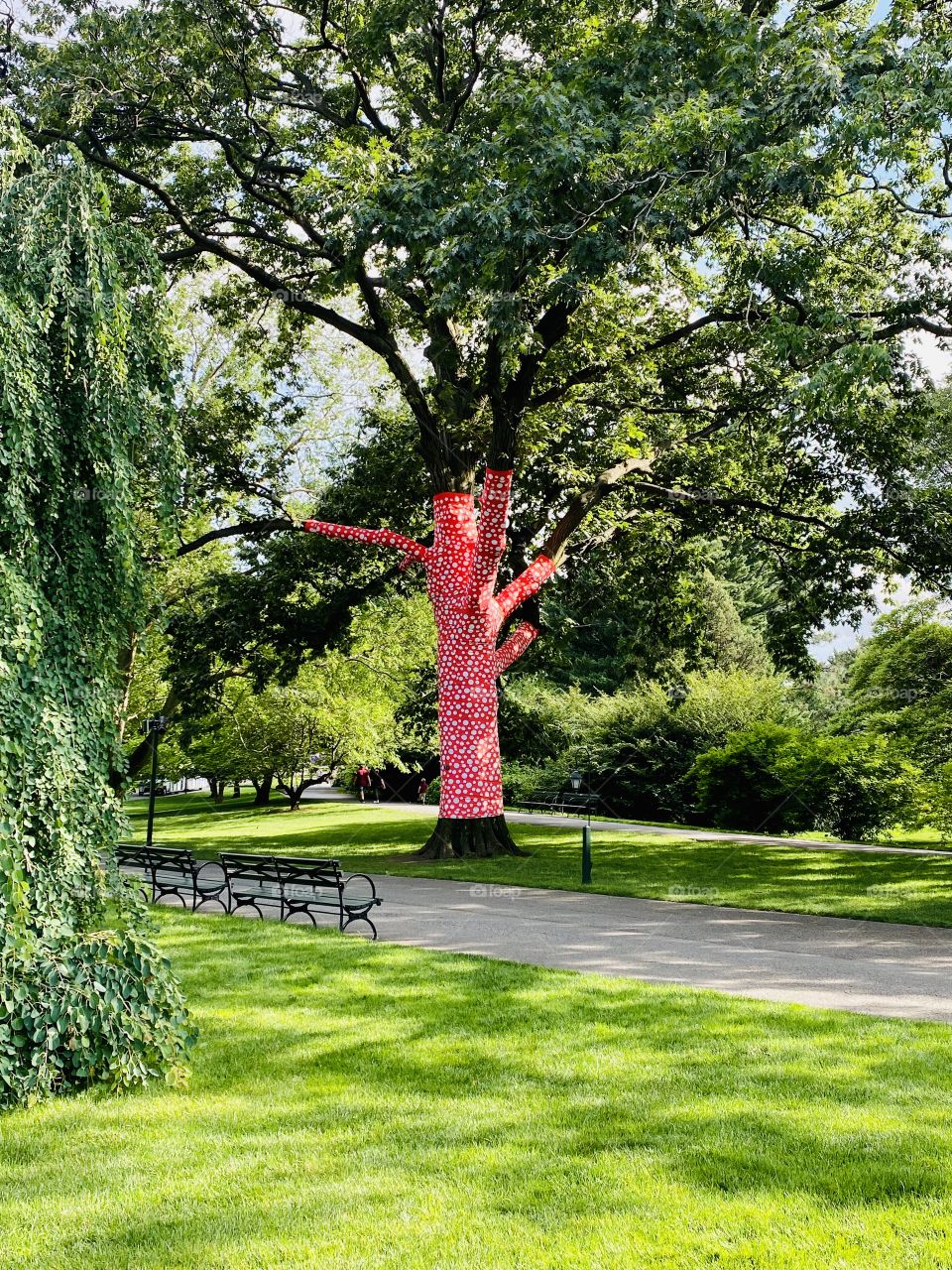 Artist Kusama’s “Ascension of Polka Dots on the Trees” at NYBG 