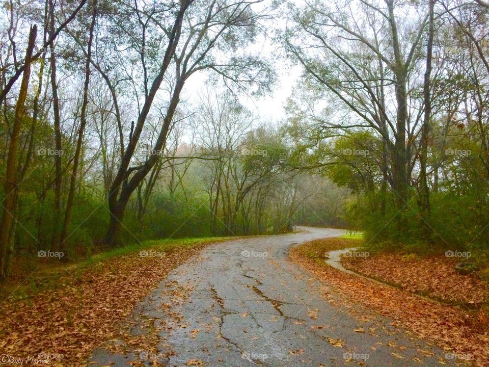 Saturday afternoon drive