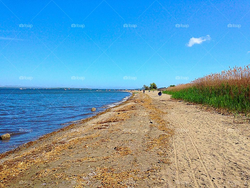 Early summer beach . Strolling the beach waiting for the air show to start from the nearby military base.