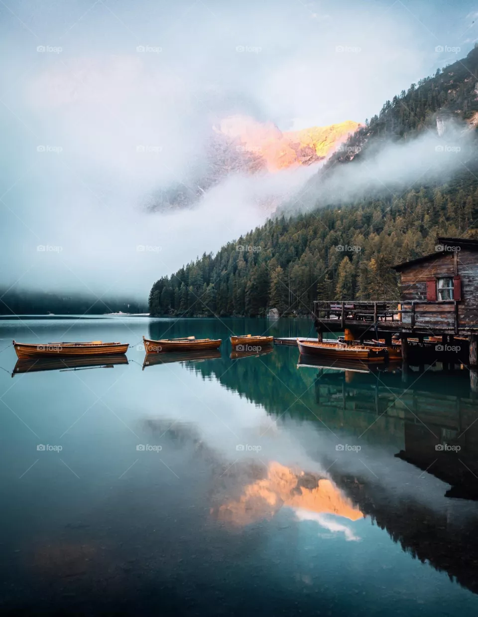 Amazing nature 