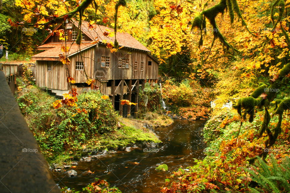 Autumnal Richness. Cedar Creek Grist Mill is an historic, working grist mill in SW Washington.