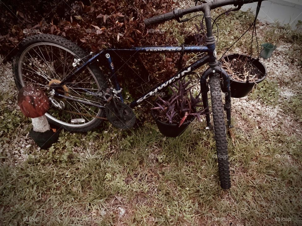 A Lonely Bicycle At Night Forgotten But Standing In The Midst Of Branches And Plants In The Grass.