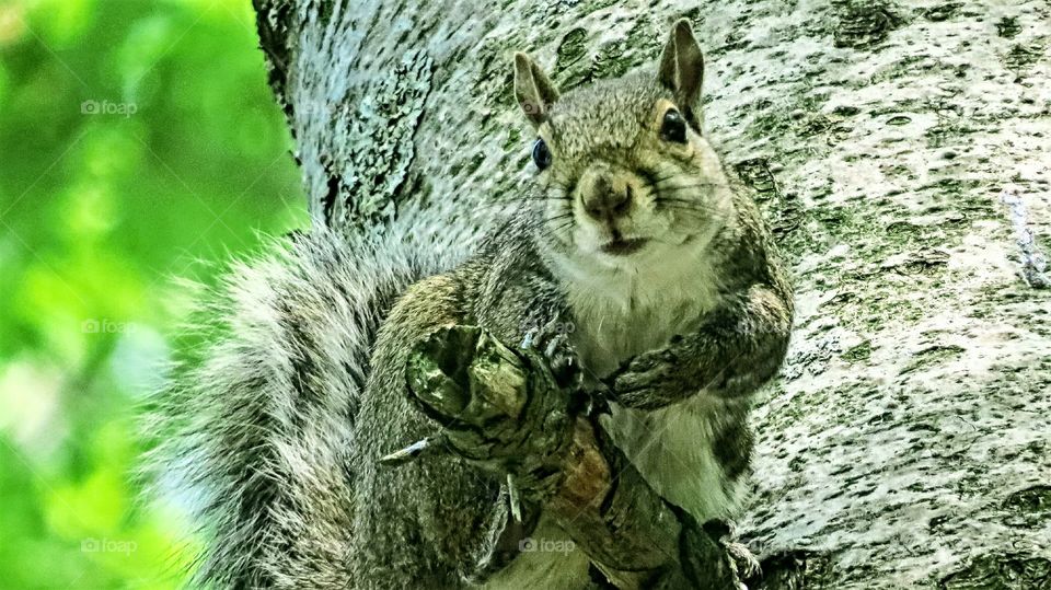 Who's looking at who?