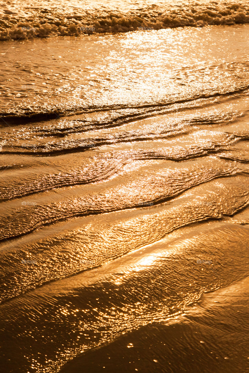 golden waves