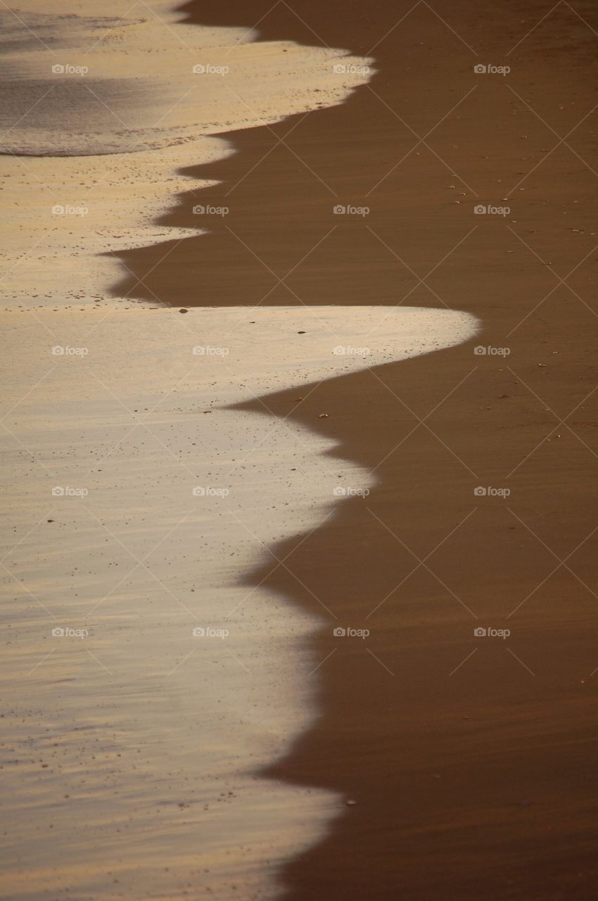 Close-up of seashore 