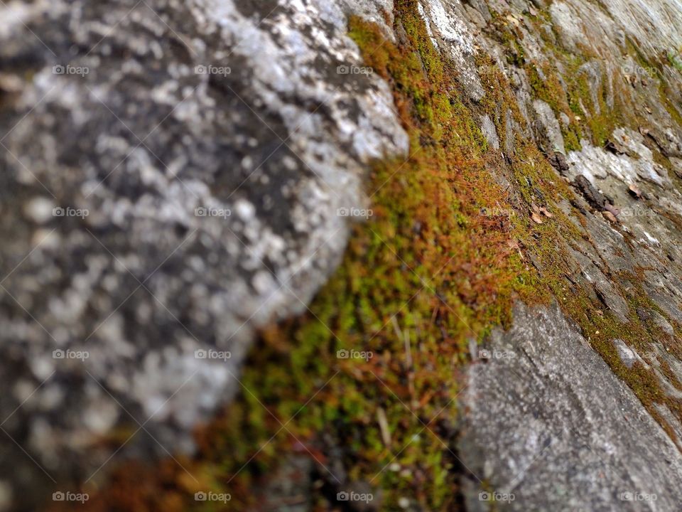 a long way of details