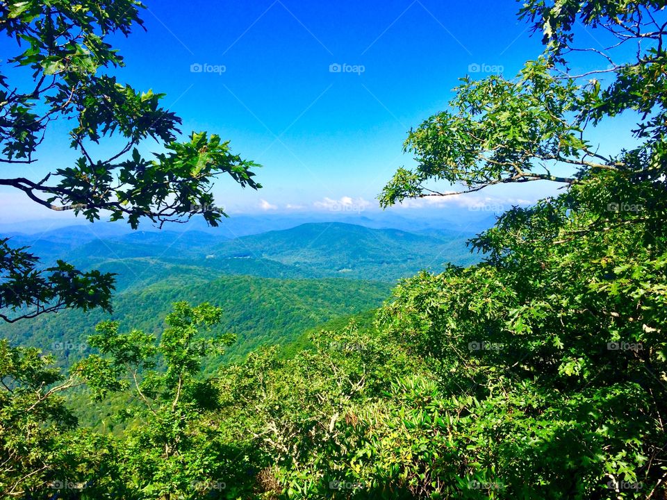 I captured this photo while hiking up in the North Georgia Mountains in Dahlonega. 