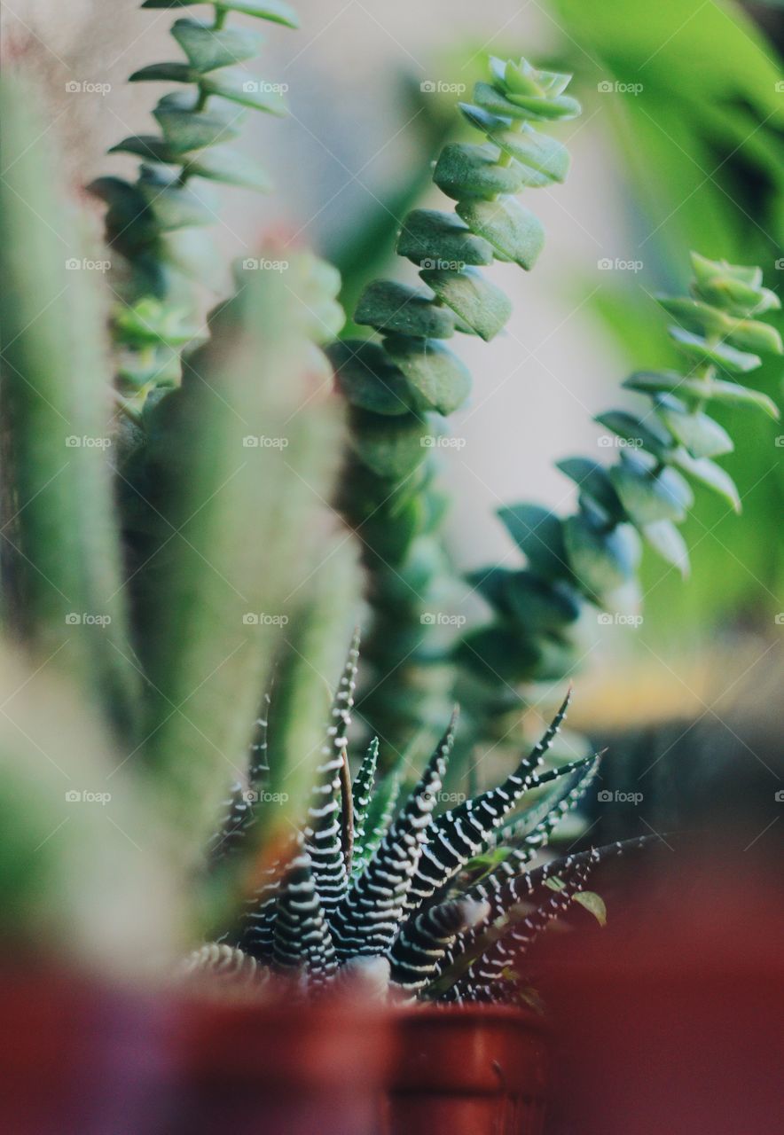 You look so good in green.