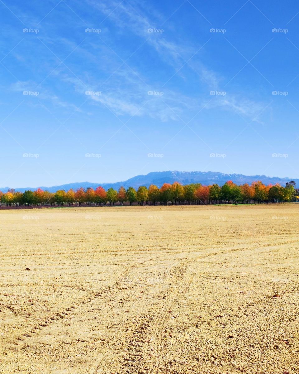 autumn vibes in Italy