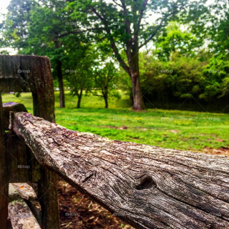 Blurry Williamsburg. 