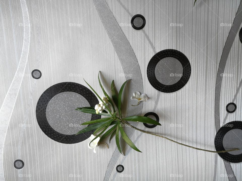 The varieties background.