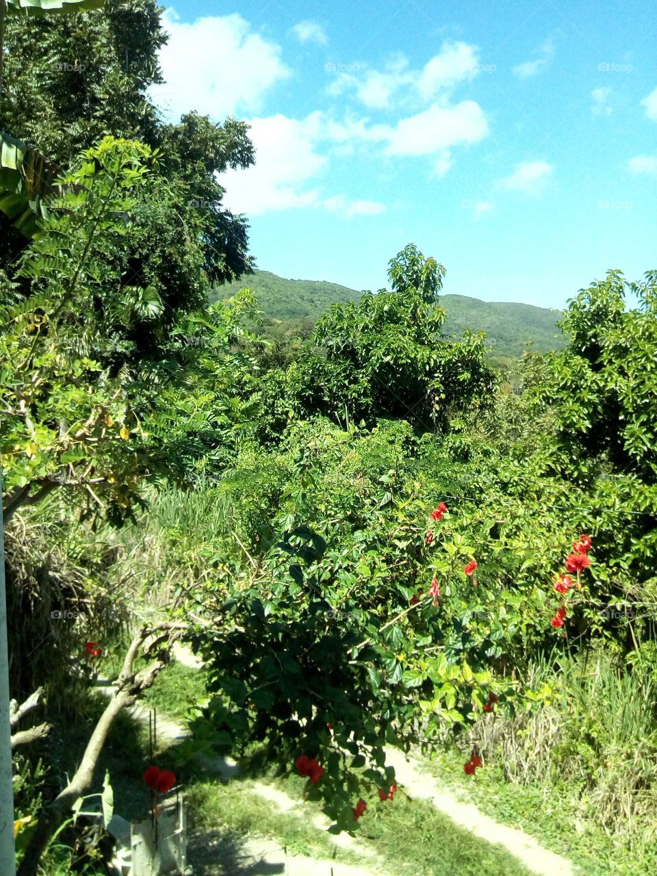 we have to go out to experience the world we can not start in one place an see ever thing